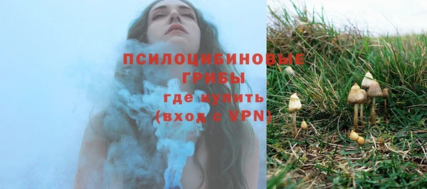 a pvp Арсеньев
