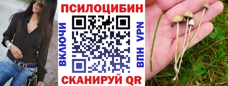 Псилоцибиновые грибы Magic Shrooms  закладка  Радужный 
